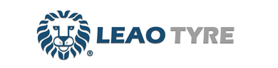 pneu leao